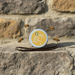 Baume à lèvres fondant miel, cire d'abeille, karité et d'huile d'olive - parfum vanille - 15ml