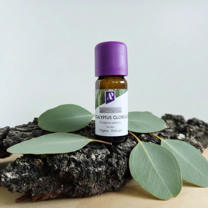 Huile essentielle d'Eucalyptus globuleux bio - 10 ml