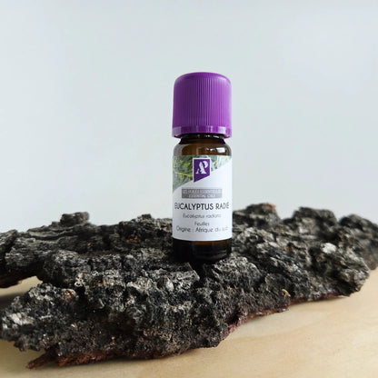 Huile essentielle d'Eucalyptus radié bio - 10 ml