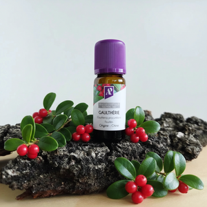 Huile essentielle de Gaulthérie couchée bio - 10 ml