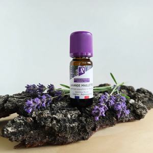 Huile essentielle de Lavande Maillette bio - 10 ml