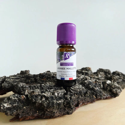 Huile essentielle de Lavande Maillette bio - 10 ml