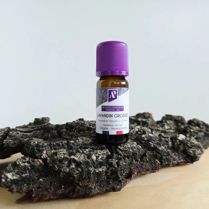 Huile essentielle de Lavandin Grosso bio - 10 ml