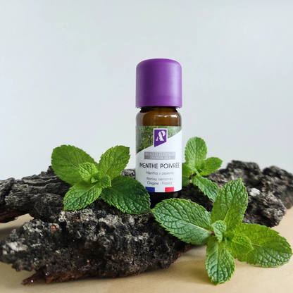 Huile essentielle de Menthe poivrée bio - 10 ml
