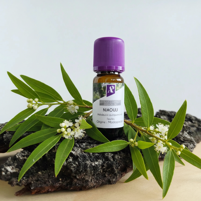 Huile essentielle de Niaouli bio - 10 ml