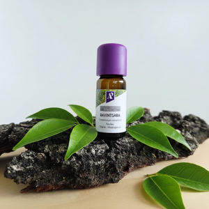 Huile essentielle de Ravintsara bio - 10 ml