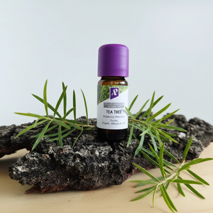 Huile essentielle de Tea Tree (Arbre à thé) bio - 10 ml