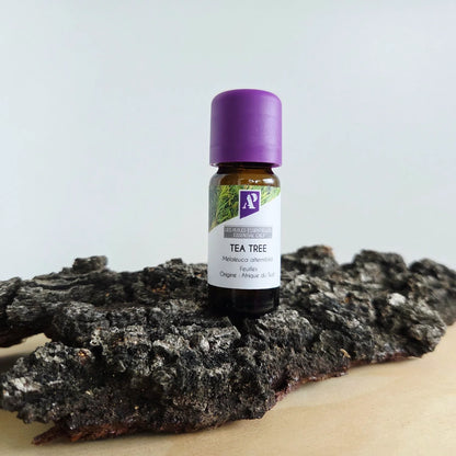 Huile essentielle de Tea Tree (Arbre à thé) bio - 10 ml