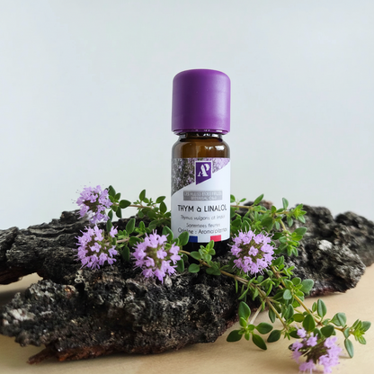 Huile essentielle de Thym à linalol bio - 10 ml