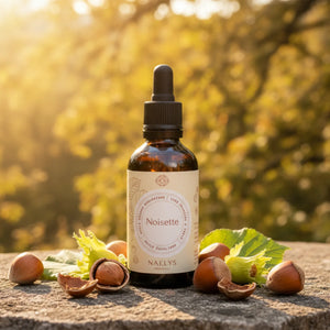 Huile de noisette bio - non comédogène, régule le sébum - idéale pour le visage et le démaquillage - 50 ml